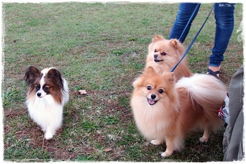 20141024_165050.JPG