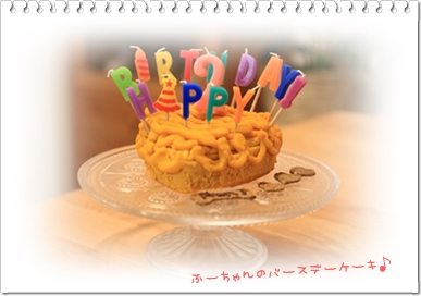 20141101_192740.JPG