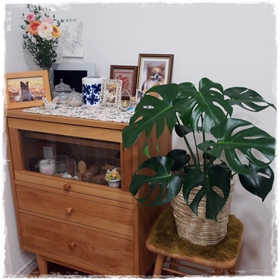 20141124_182520.JPG
