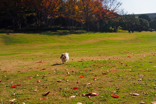 20141127_122155.JPG