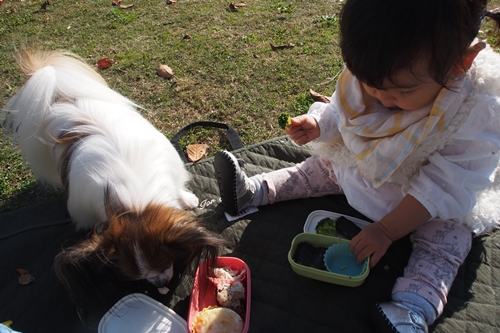 20141127_123239.JPG