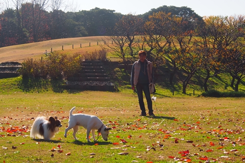 20141127_130430.JPG