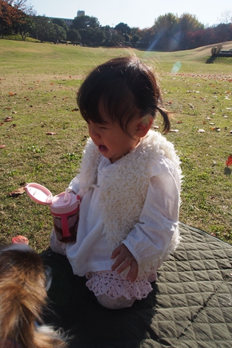 20141127_132342.JPG