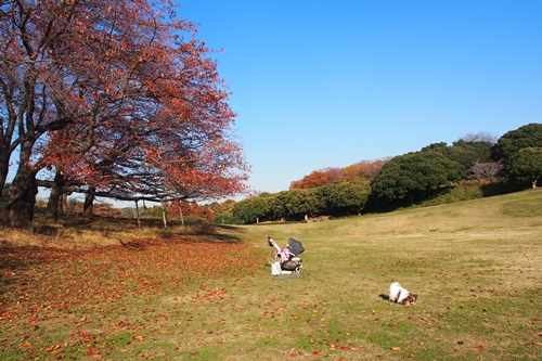 20141127_140421.JPG