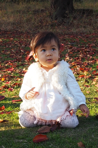 20141127_152228.JPG