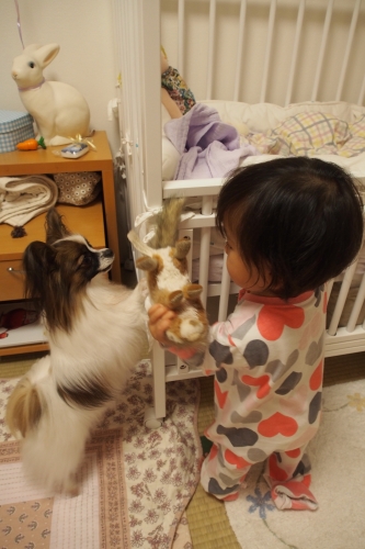 20141201_202140.JPG