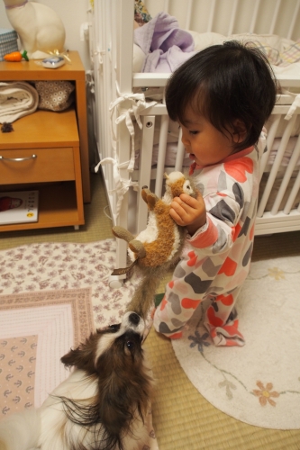 20141201_202143.JPG