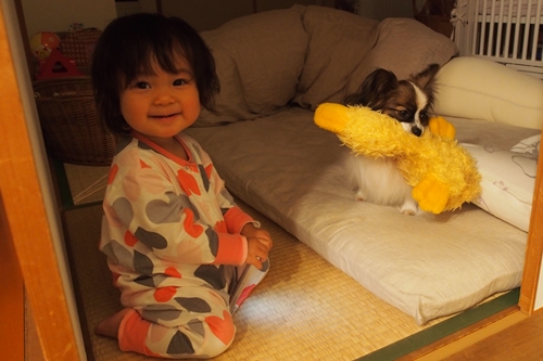 20141201_215844.JPG