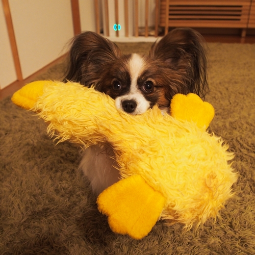 20141201_215906.JPG