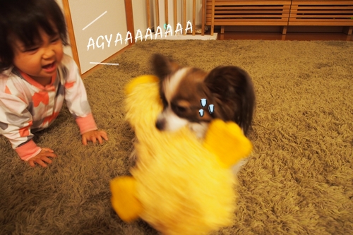 20141201_215909.JPG