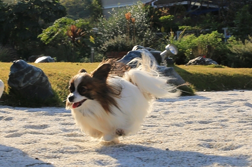 20141123_141412.JPG