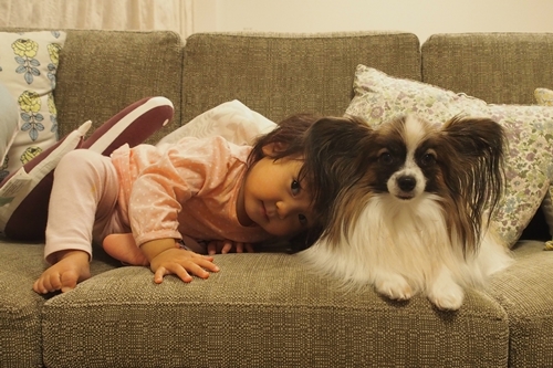 20141211_191238.JPG