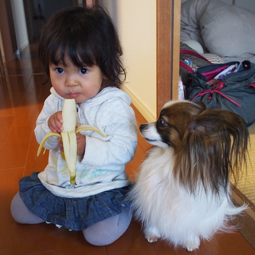 20141220_133344.JPG