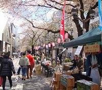 jiyugaoka_sakura.jpg