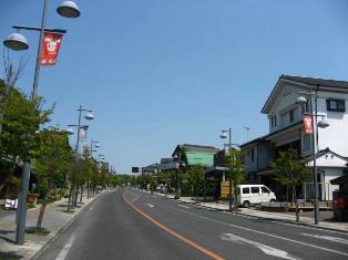 IMG_1318.jpg