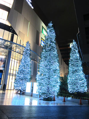 IMG_3344.jpg