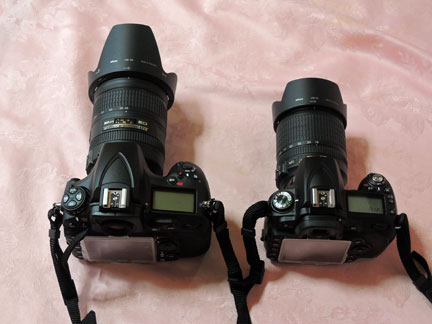 Nikon D810とAF-S NIKKOR 28-300mm f/3.5-5.6G ED VRレンズを Nikon D810とAF-S NIKKOR 28-300mm f/3.5-5.6G ED VRレンズを