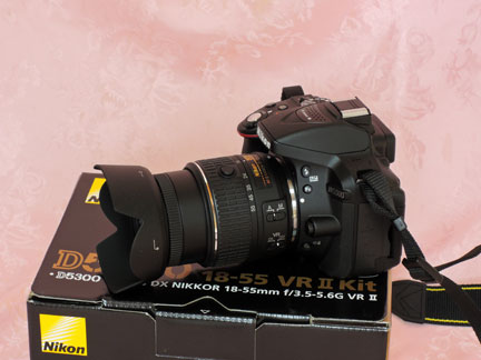 ニコン Nikon D5300を買う 鉄道・飛行機旅用 | イケてる、モノ・コト