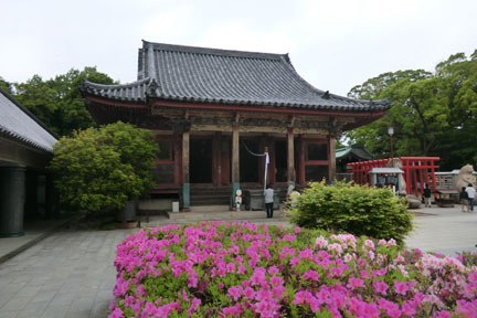 CIMG9087.jpg