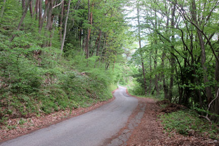IMG_5908.jpg