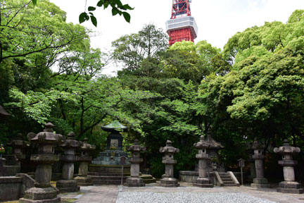 D8C_4061.jpg