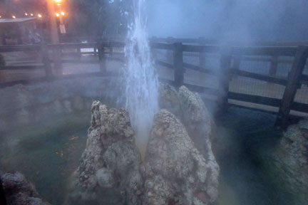 IMG_7138.jpg