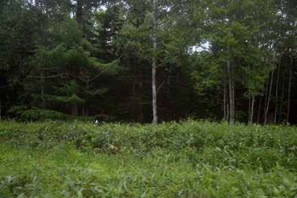 DSC_1325.jpg