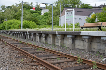 DSC_1584.jpg