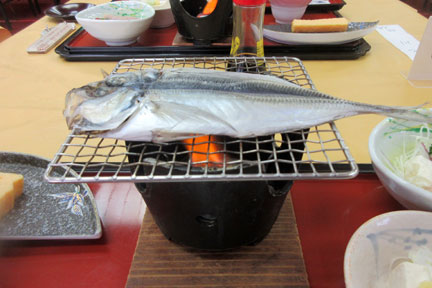 IMG_7685.jpg