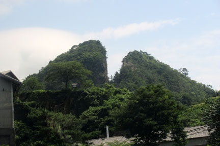 IMG_7707.jpg
