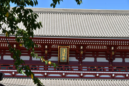 D8C_4409.jpg