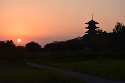DSC_2754.jpg