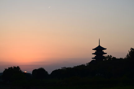 DSC_2777.jpg