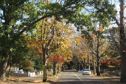 IMG_0701.jpg
