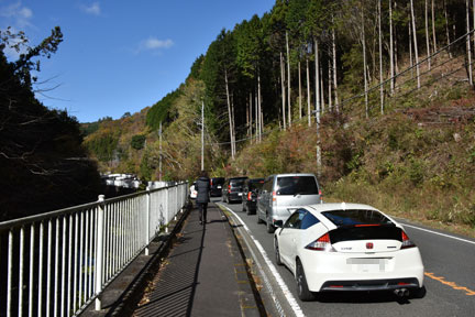 D8C_4561.jpg