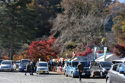 D8C_4565.jpg