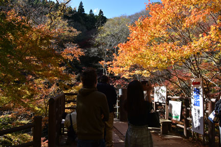 D8C_4575.jpg