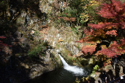 D8C_4581.jpg