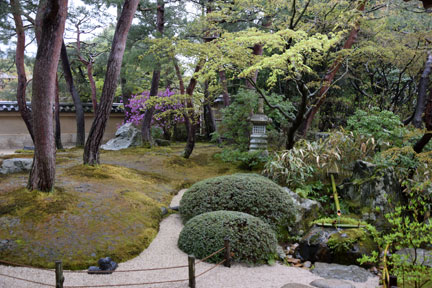 DSC_6912.jpg
