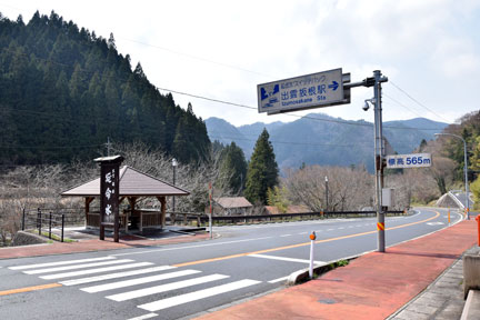 DSC_7255.jpg