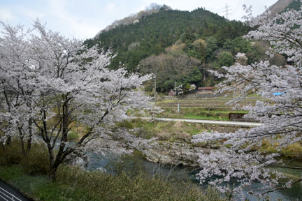 DSC_7313.jpg
