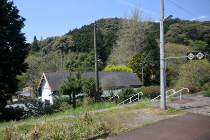 DSC_7389.jpg