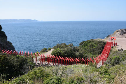 DSC_7409.jpg