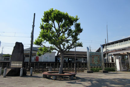 IMG_5243.jpg