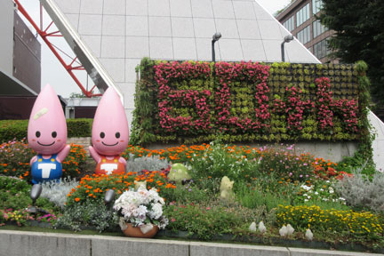 IMG_5443.jpg