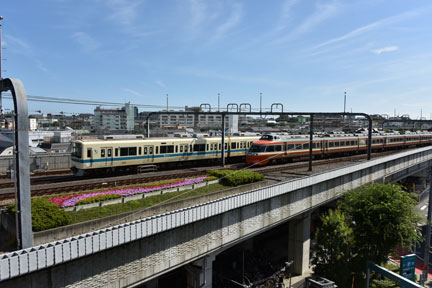 D8C_5195.jpg