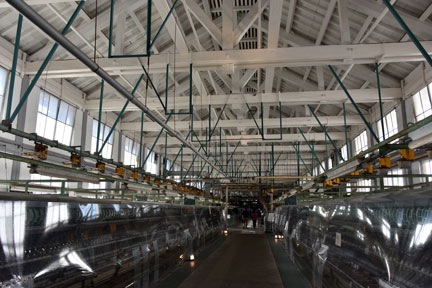 D8C_5523.jpg
