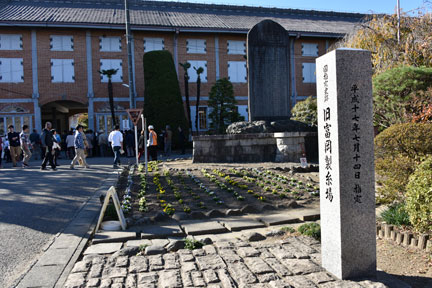 D8C_5556.jpg