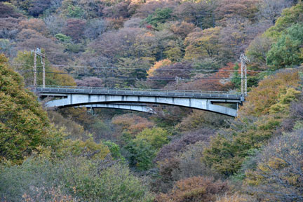D8C_5592.jpg