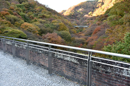 D8C_5600.jpg